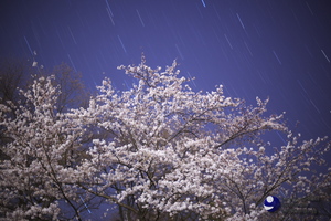 100418_MG_0005.jpg