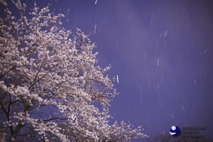 100418_MG_0006.jpg