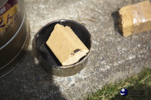 100429_MG_0038.jpg