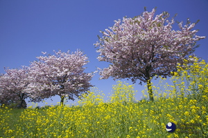 100506_MG_0006.jpg