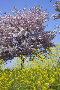 100506_MG_0023.jpg