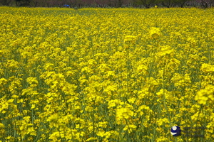 100506_MG_0025.jpg
